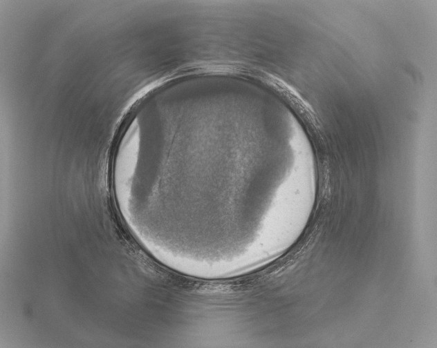 X0000115131174200912081259