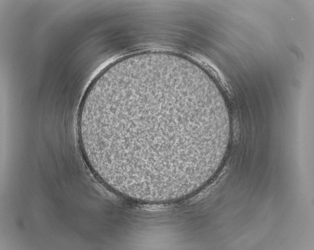 X0000115131182200912081259