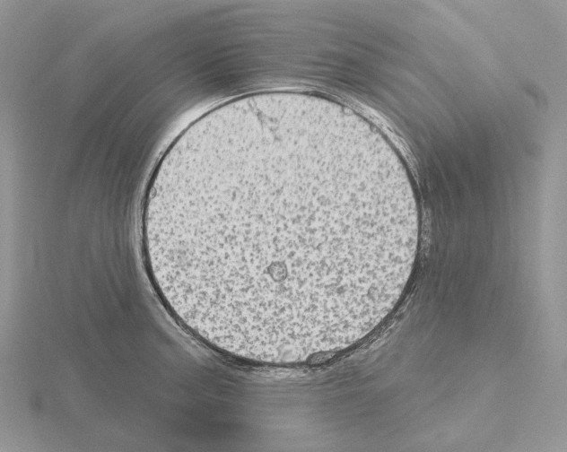 X0000115131187200912081259