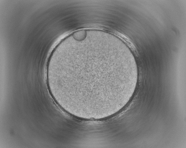 X0000115131188200912081259
