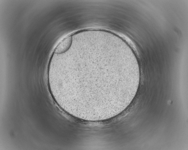 X0000115131191200912081259