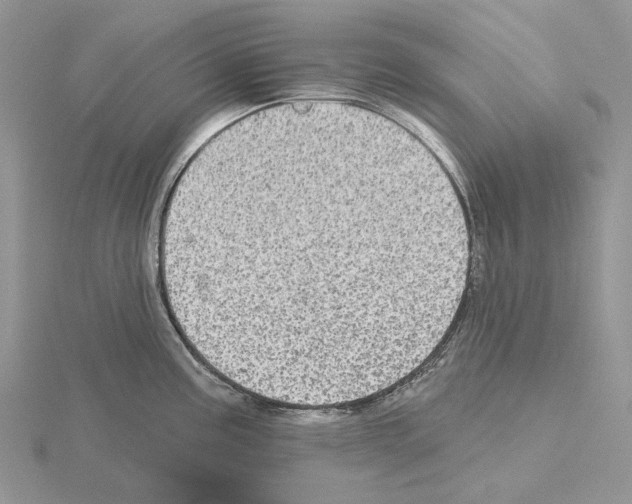 X0000115131195200912081259
