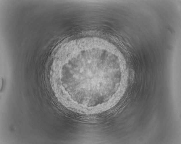 X0000115131201200912081258