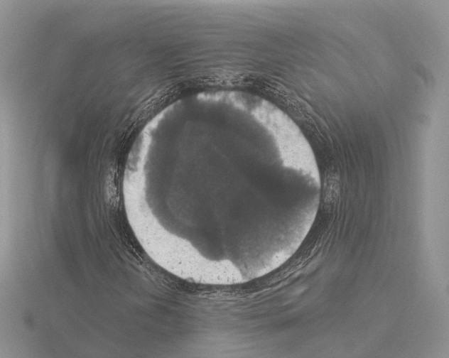 X0000115131202200912081258