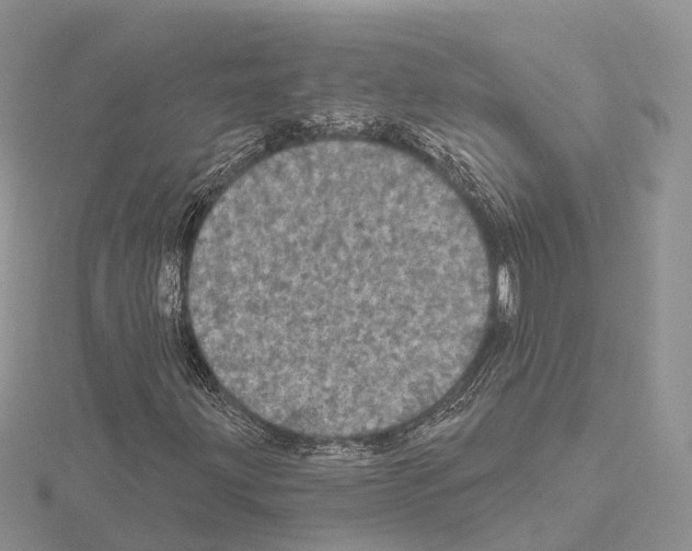 X0000115131203200912081258