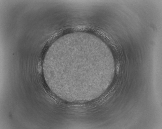 X0000115131204200912081258