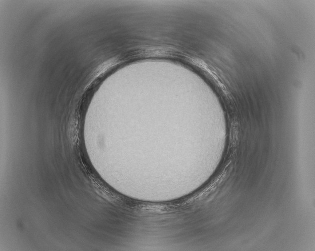 X0000115131211200912081258
