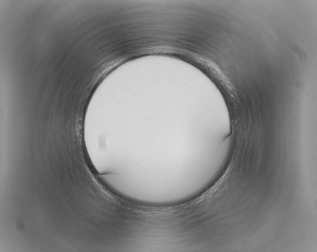 X0000115131225200912081258