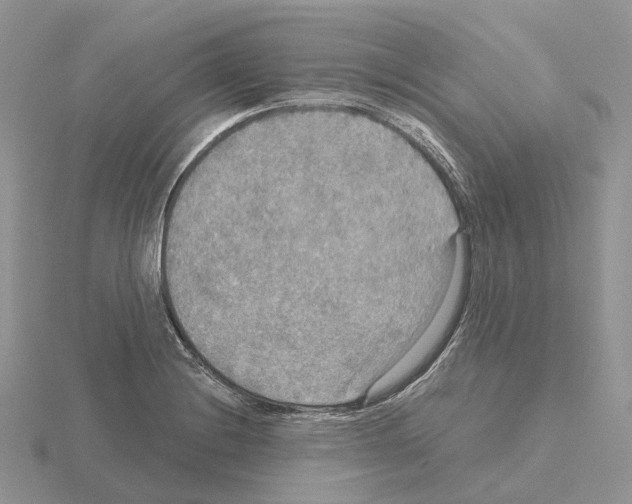 X0000115131228200912081258