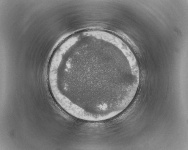 X0000115131240200912081258