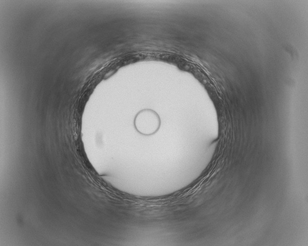 X0000115131253200912081258