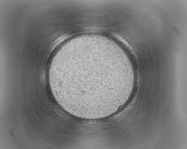 X0000115131259200912081258
