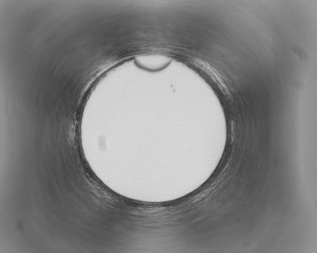 X0000115131260200912081258
