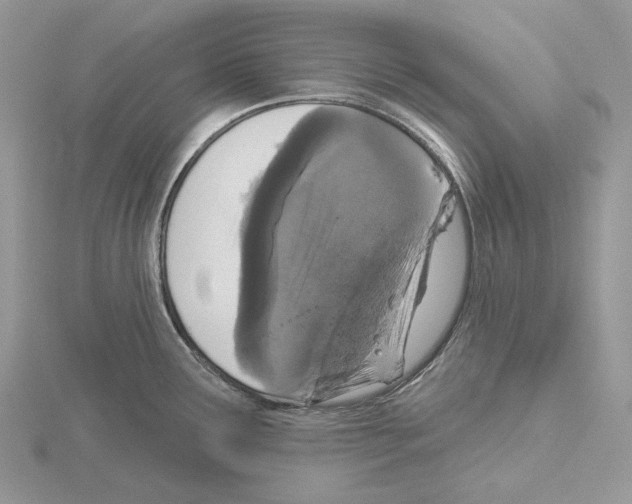 X0000115131291200912081257