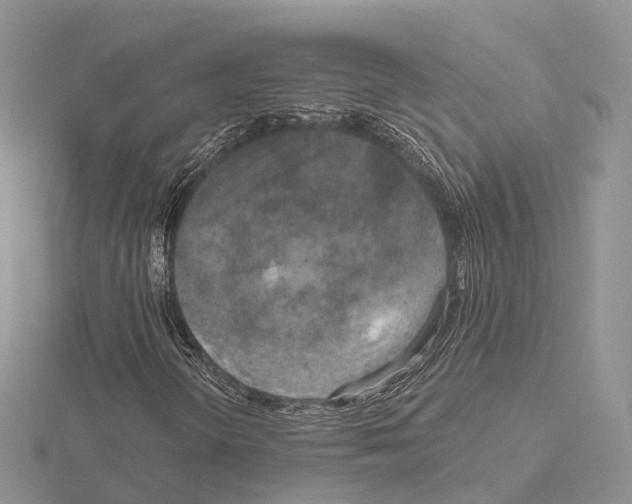 X0000115131298200912081257