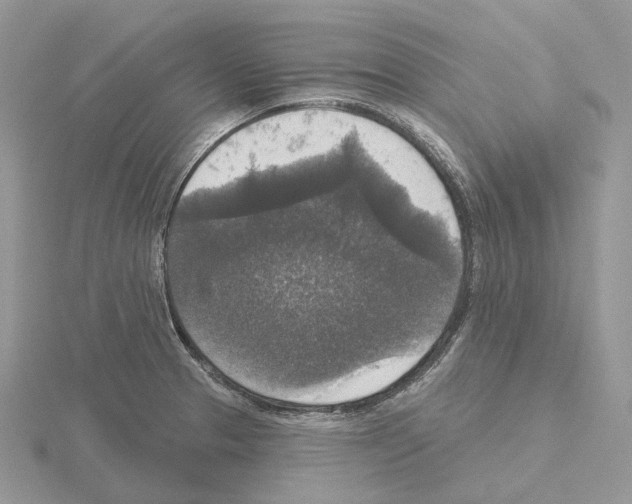 X0000115131329200912081257