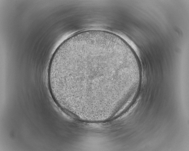 X0000115131341200912081257