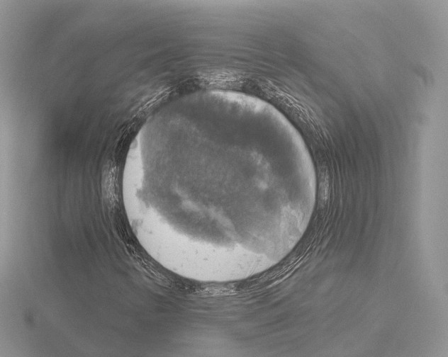 X0000115131346200912081257
