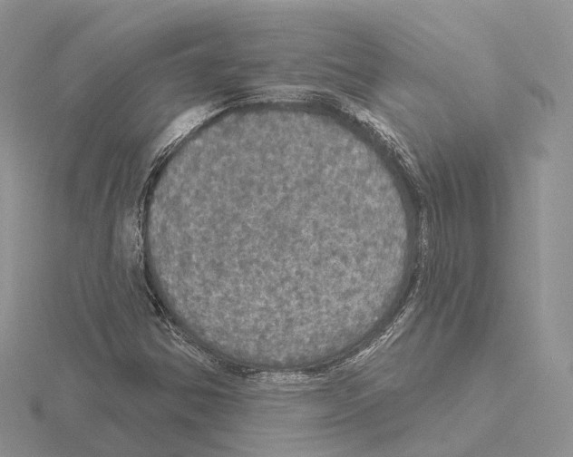 X0000115131354200912081257