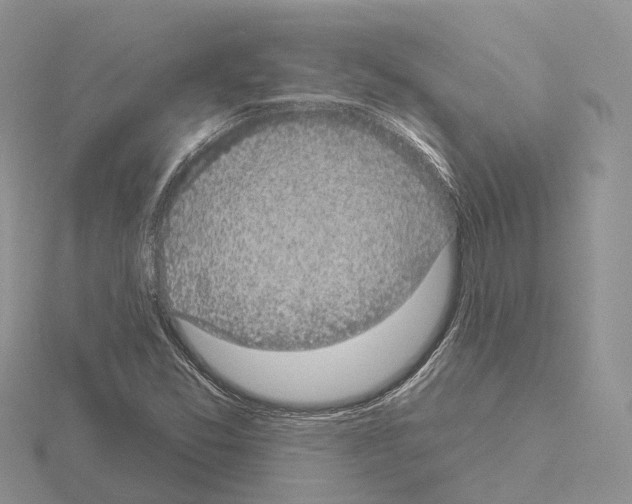 X0000115131357200912081257
