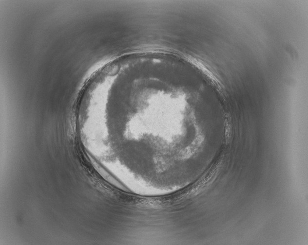 X0000115131358200912081256
