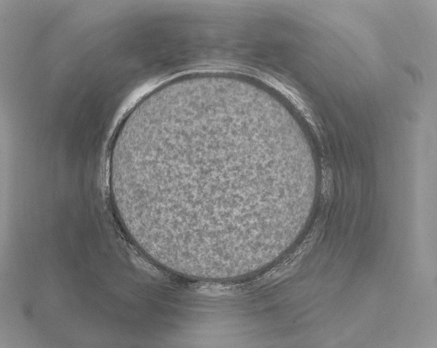 X0000115131366200912081256