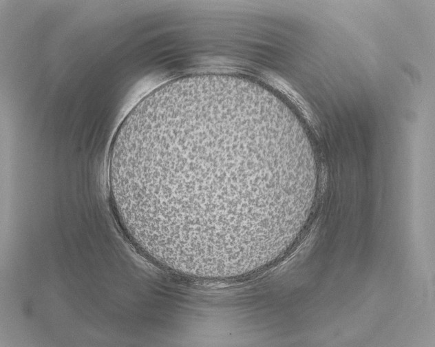 X0000115131370200912081256