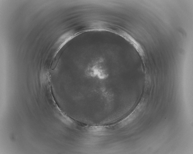X0000115131385200912081256