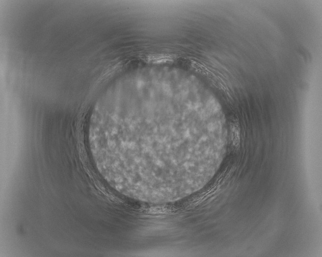 X0000115131393200912081255