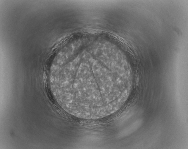 X0000115131397200912081255