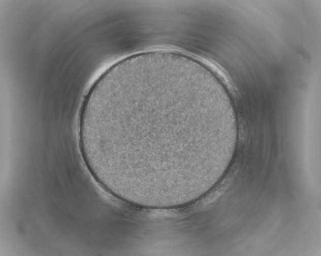 X0000115131430200912081256