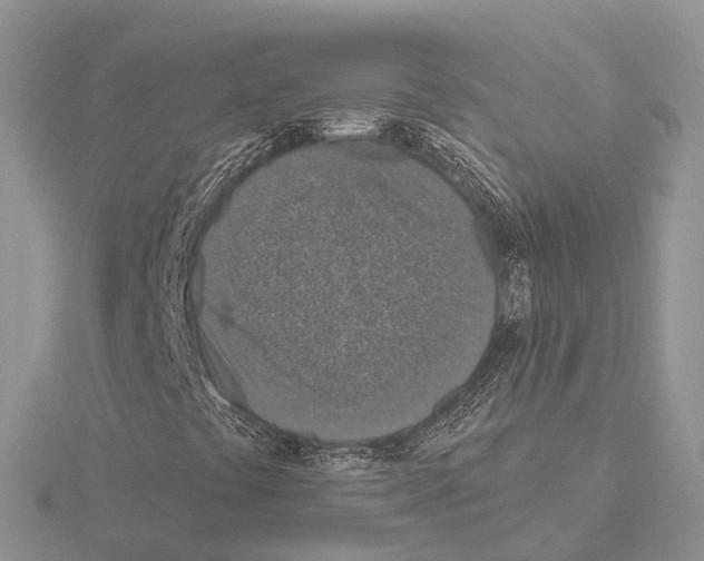 X0000115131441200912081255