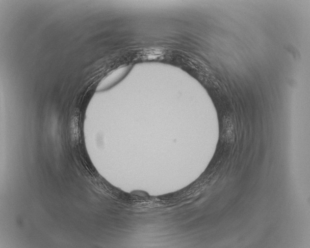 X0000115131442200912081255