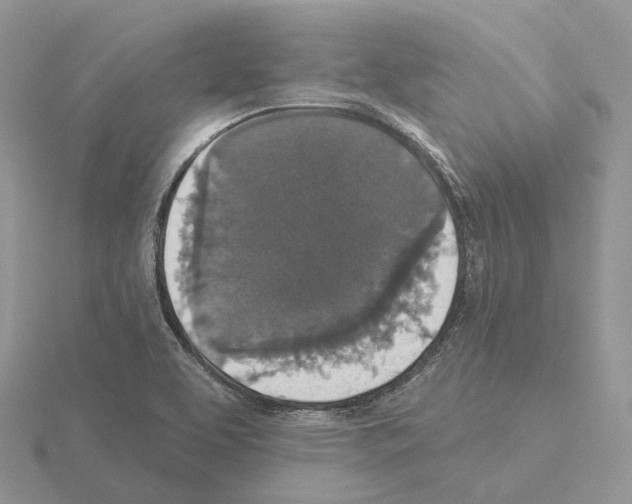 X0000115131463200912081255