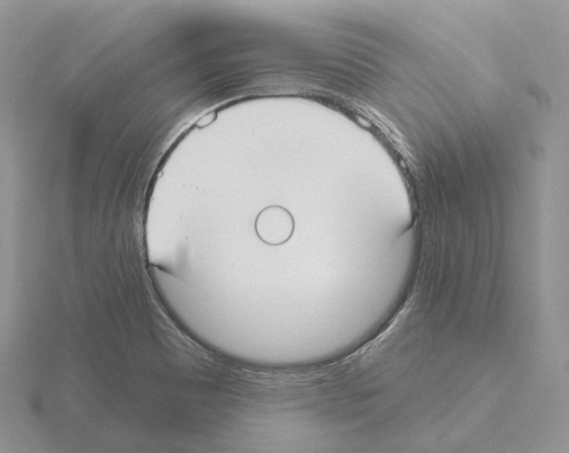X0000115131465200912081255