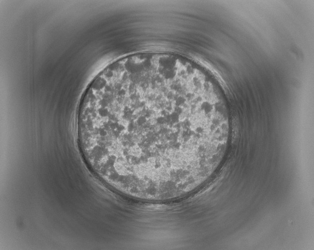 X0000115131467200912081255