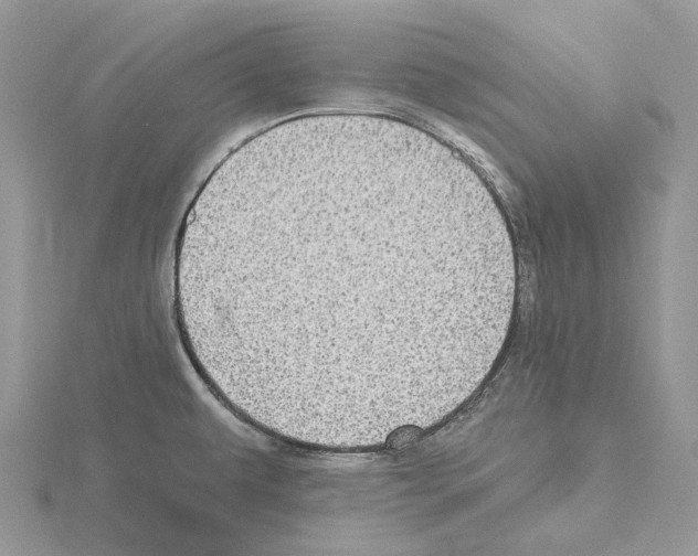 X0000115131479200912081255