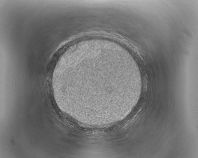 X0000115131494200912081254