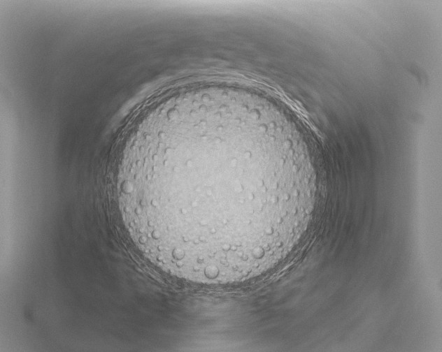 X0000115131495200912081254