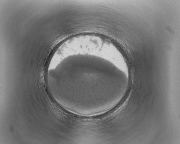 X0000115131497200912081254