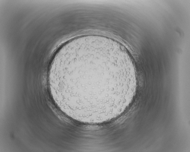 X0000115131499200912081254