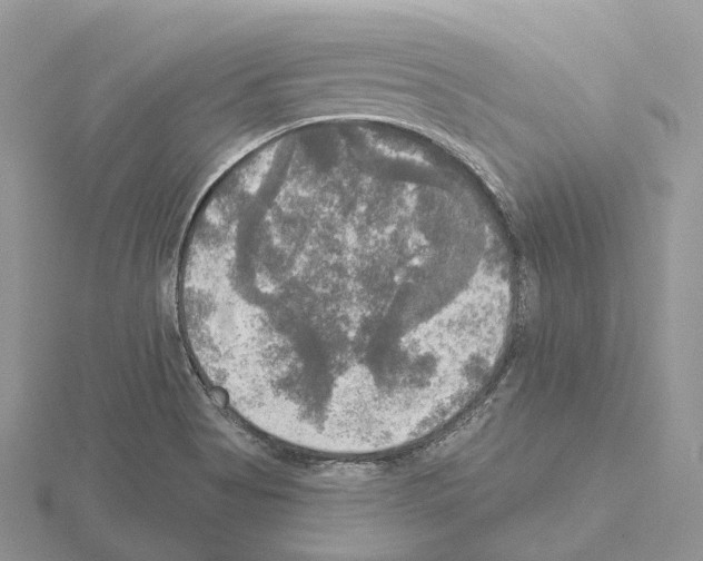 X0000115131513200912081255