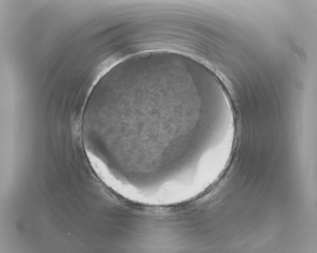 X0000115131529200912081255
