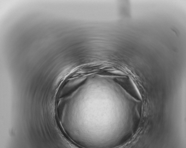 X0000115140002200911101717