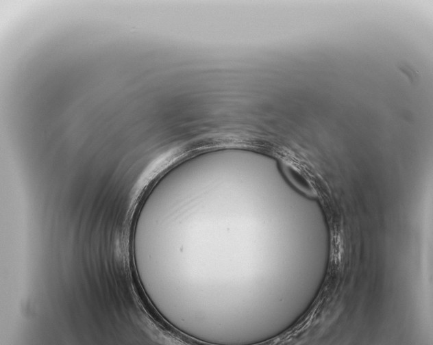X0000115140004200911101717