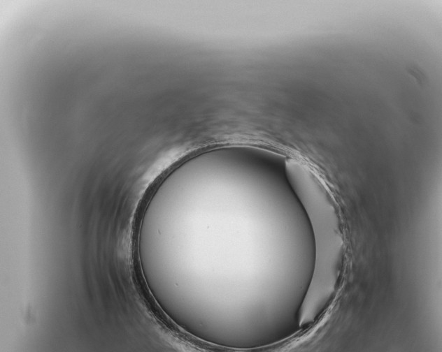 X0000115140008200911101717