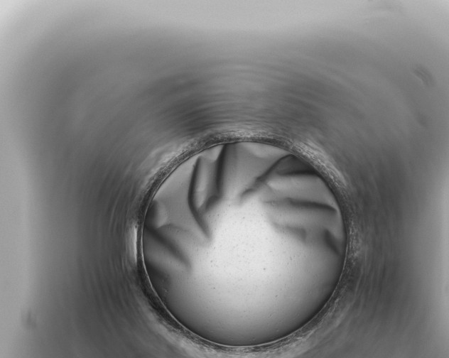 X0000115140014200911101717