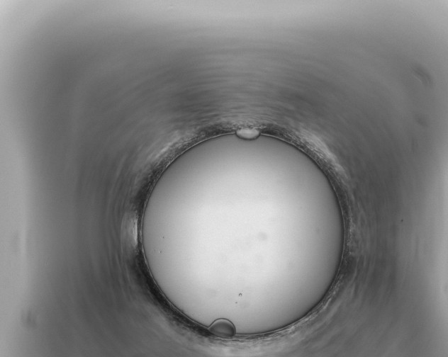 X0000115140021200911101717
