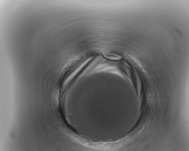 X0000115140023200911101717
