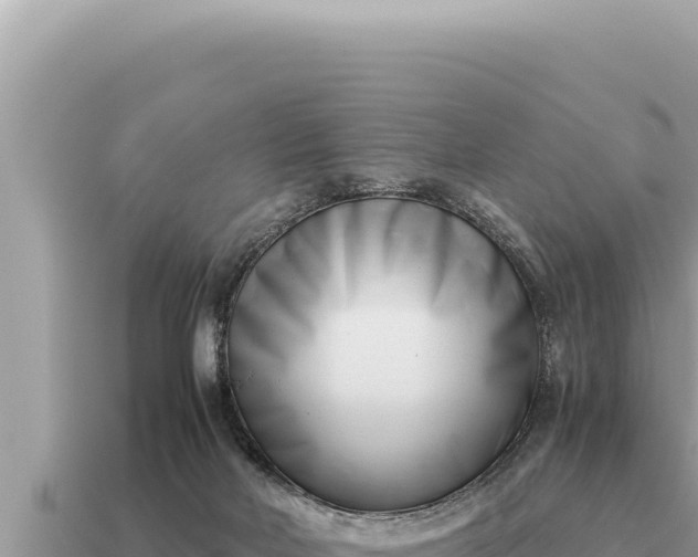 X0000115140026200911101717
